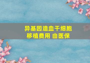 异基因造血干细胞移植费用 由医保